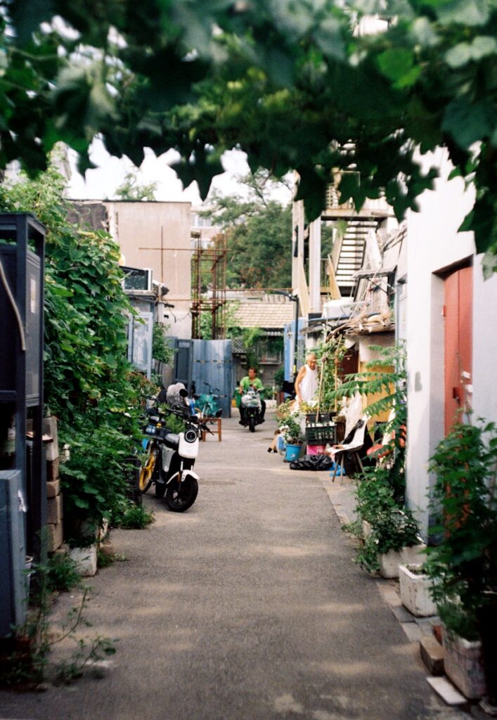 A narrow alley way with lots of greenery